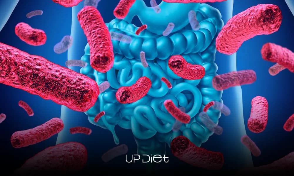 Best Gut Microbiome Tests and Analyses: A Complete Overview of the Best Options