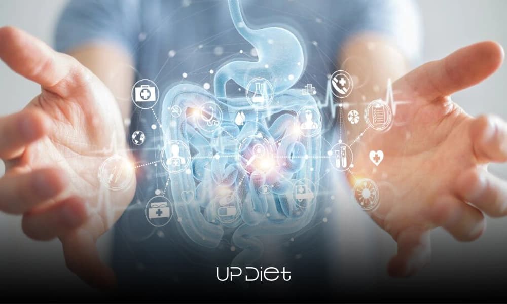 From Microbiome to Meal Plan: How Your Gut Shapes Truly Personalized Nutrition